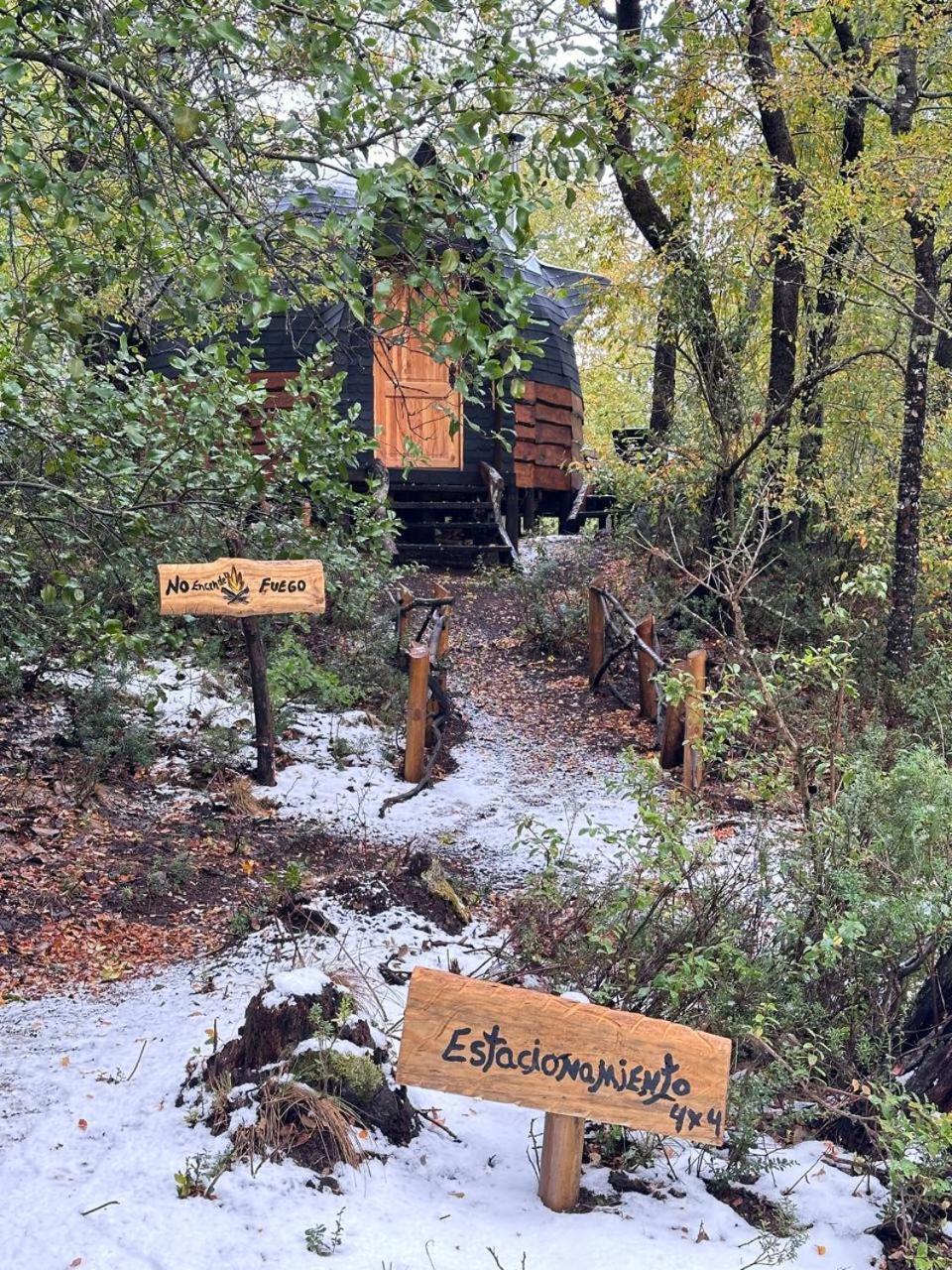Conguillio Glamping